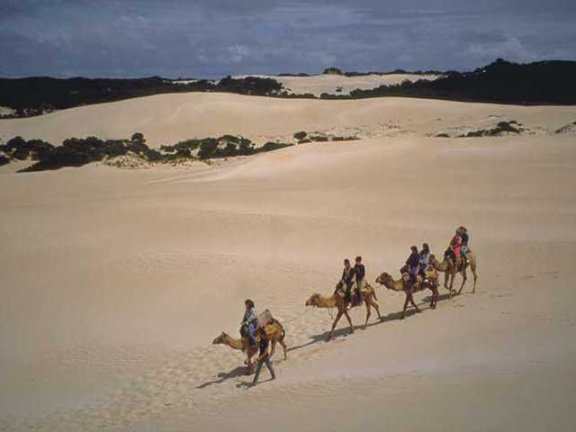 The silk road.Sogdian principality.